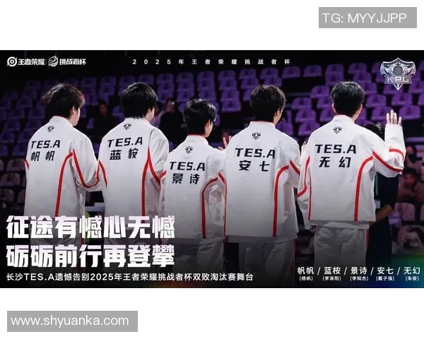 挑战者杯特别报道TES逆袭之路的背后故事与精彩瞬间