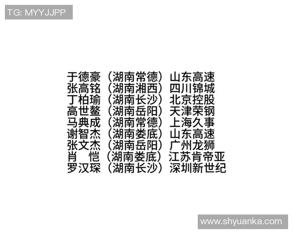 湖南省CBA球队名单及发展现状分析