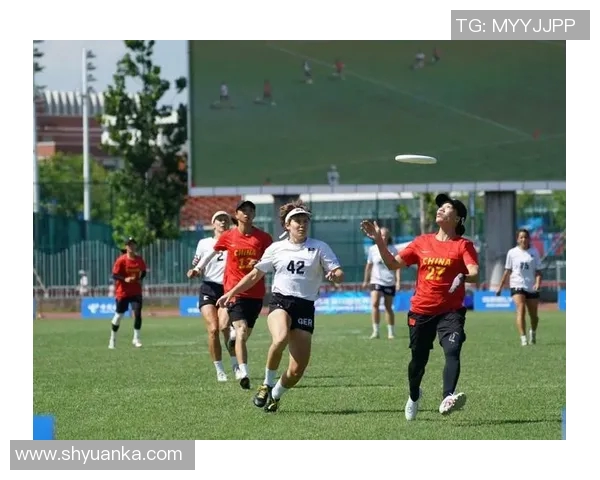 飞盘战术与团队协作成都飞盘队的成功运营模式探讨